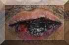Right click on empty area to go back one step. Left click on blue letters or thumbnails for new pages, Left click on photos with the "carousel" sign to download a connect photo... And give time for downloading please... Patience! If I compress more the photos they will be unreadable!