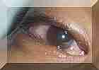 Right click on empty area to go back one step. Left click on blue letters or thumbnails for new pages, Left click on photos with the "carousel" sign to download a connect photo... And give time for downloading please... Patience! If I compress more the photos they will be unreadable!